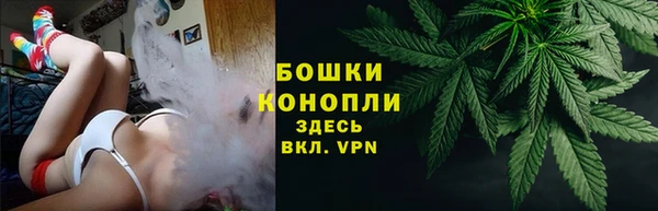 прущая мука Нея