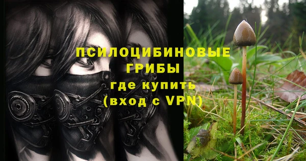 прущие грибы Новокубанск