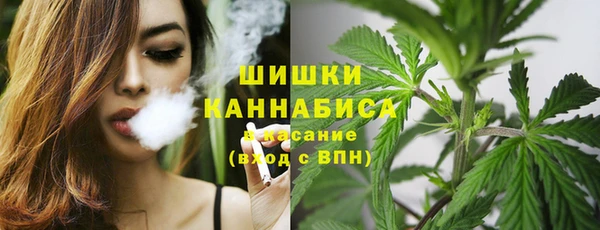 прущая мука Нея