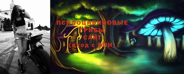 прущая мука Нея