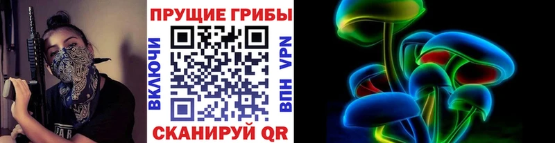 наркота  Нытва  Галлюциногенные грибы Cubensis 