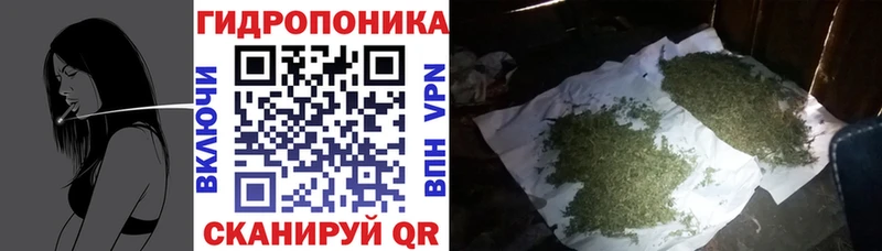 Шишки марихуана план  блэк спрут ONION  Нытва  купить  